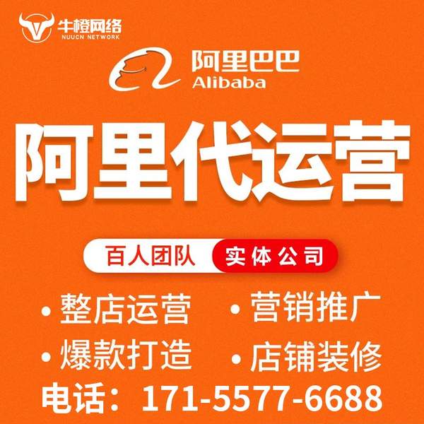 登封电商代运营