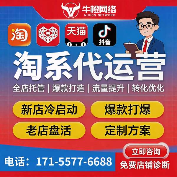 登封电商代运营