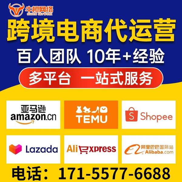 登封电商代运营