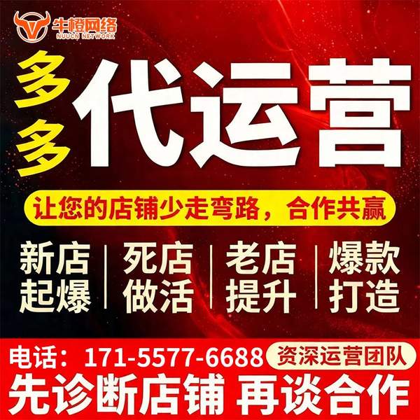 登封电商代运营