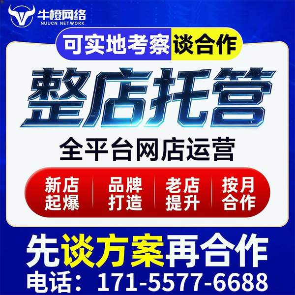 登封电商代运营