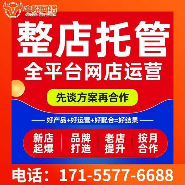 登封电商代运营