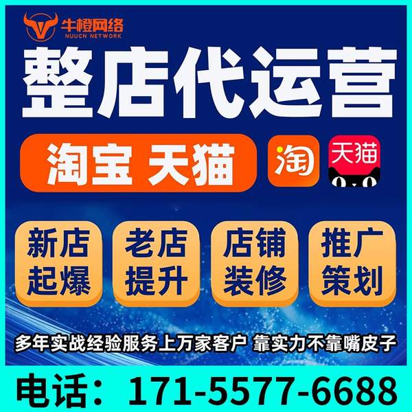 登封电商代运营