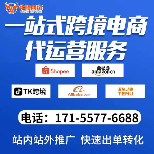 登封电商代运营
