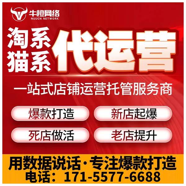 登封电商代运营